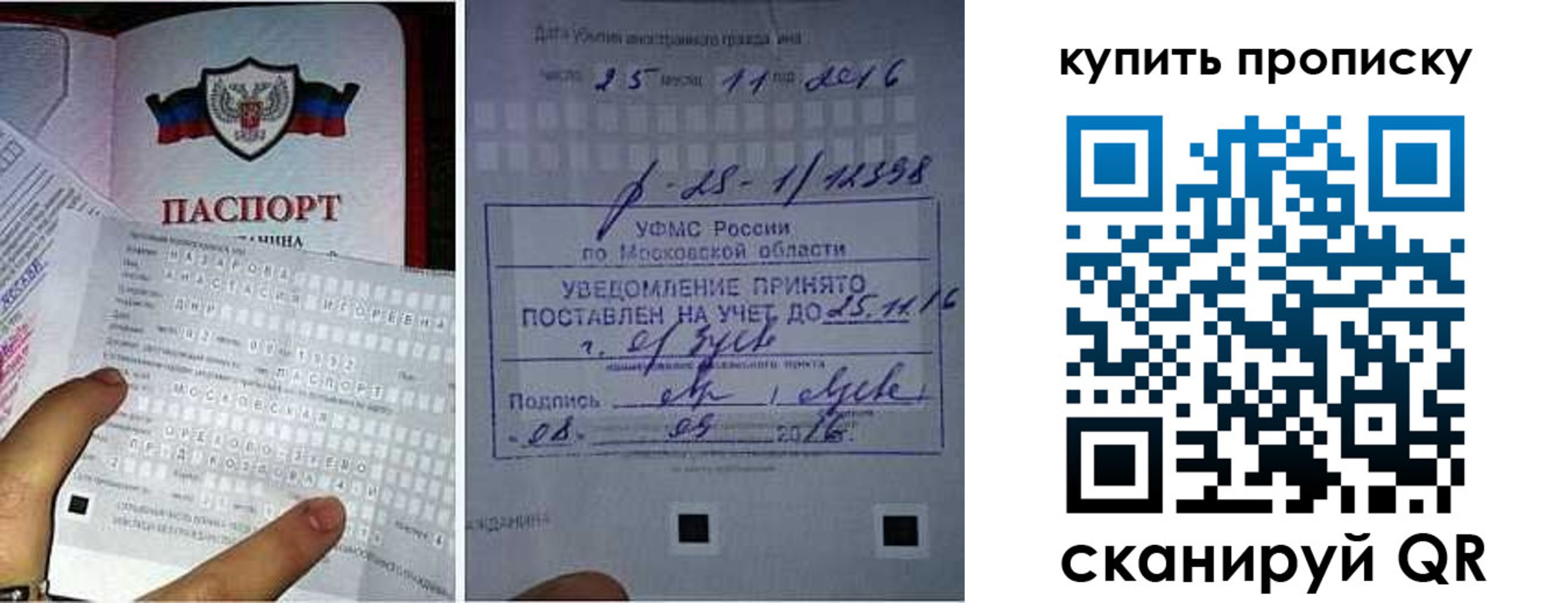 прописка законно в Сочи